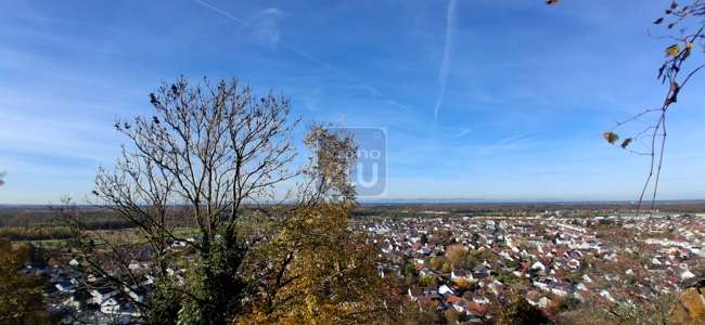 Grundstück zu verkaufen in Weingarten 399.000 € 683 m² zimmer