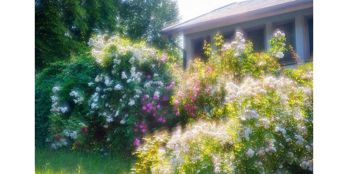 Einfamilienhaus Pforzheim Büchenbronn - 260.000&euro; | Angebot:26738412
