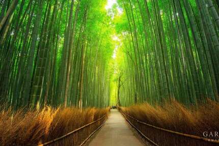 Grundstück Karlsruhe Mühlburg - 930.000&euro; | Angebot:24271795