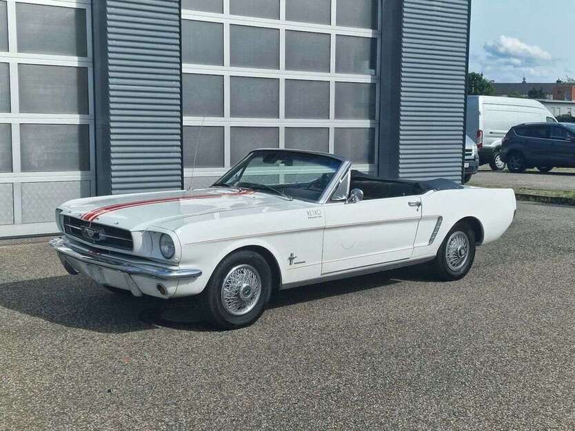 Mustang