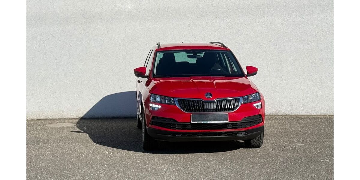 Skoda Karoq 320.000 km 9.499 &euro; Kandel 76870