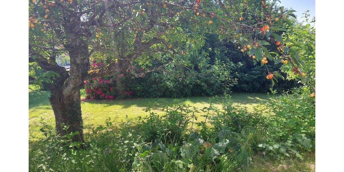 Einfamilienhaus Waldbronn Busenbach - 6 Zimmer, 124 m&sup2;, 650.000&euro; | Angebot:26908606