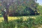 Einfamilienhaus Waldbronn Busenbach - 6 Zimmer, 124 m&sup2;, 650.000&euro; | Angebot:26908606