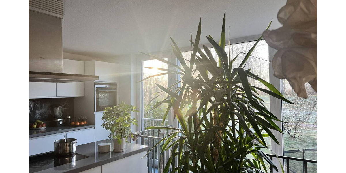 Doppelhaushälfte Rastatt - 5 Zimmer, 166 m&sup2;, 520.000&euro; | Angebot:26583751