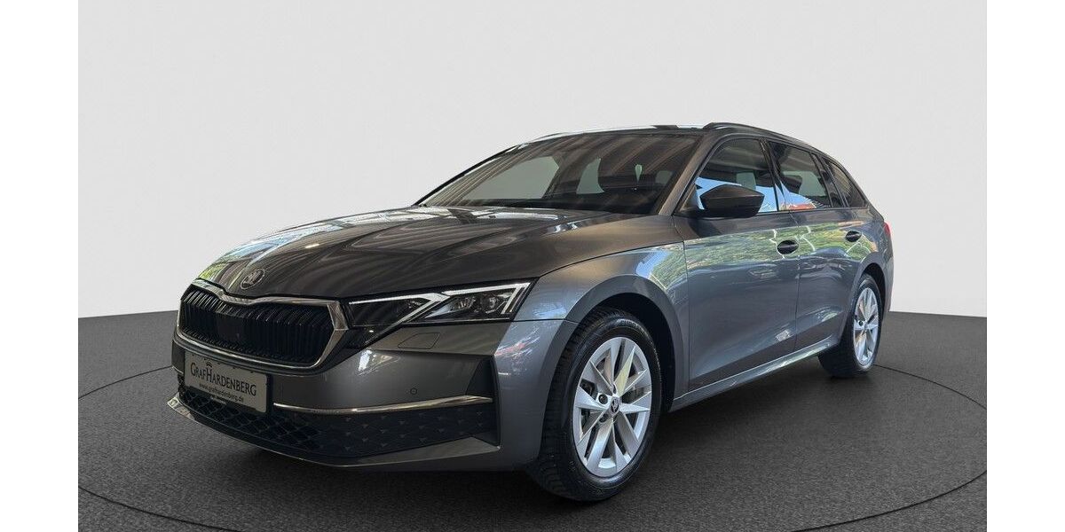 Skoda Octavia 44.000 km 29.690 &euro; Karlsruhe 76131