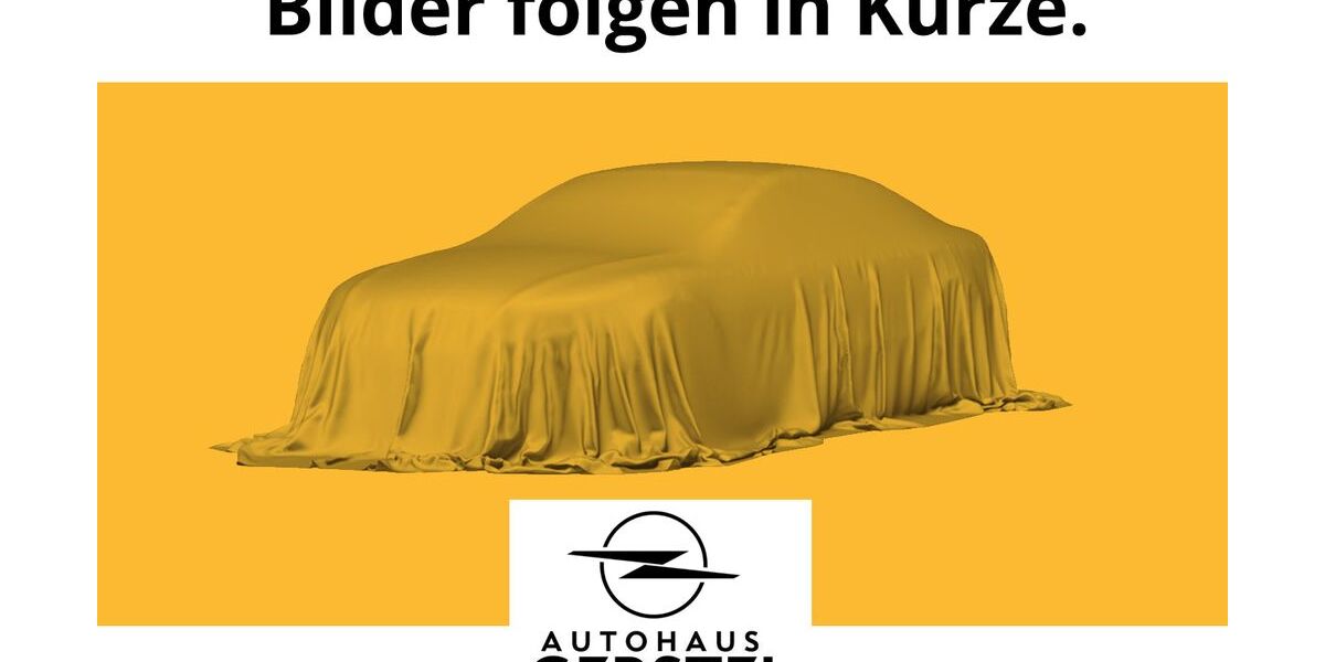 Opel Grandland (X) 108.100 km 14.490 &euro; Pforzheim 75175