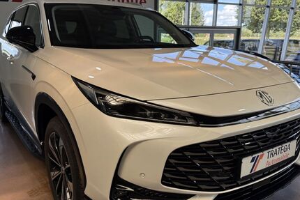 MG HS 5.455 km 30.740 &euro; Bruchsal 76646