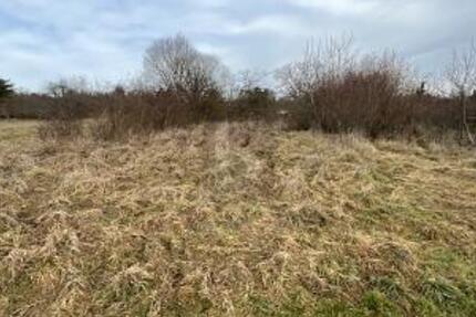 PLANE DEIN EIGENES TRAUMHAUS IM GRÜNEN - Grundstück Keltern | Angebot:25760589