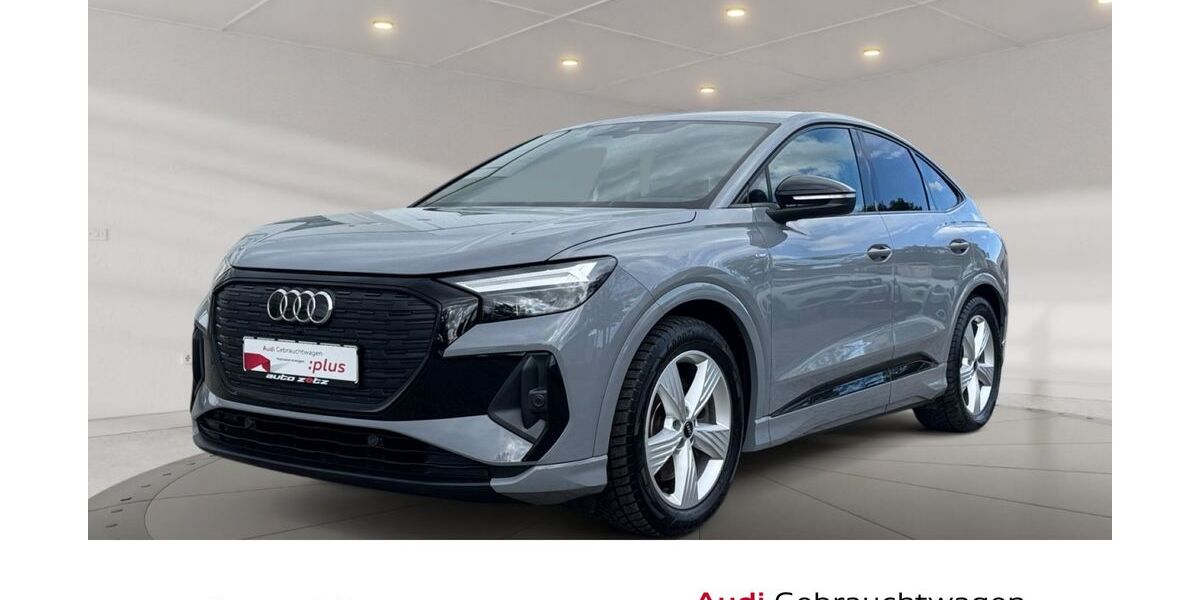 Audi Q4 e-tron 67.500 km 28.790 &euro; Landau 76829
