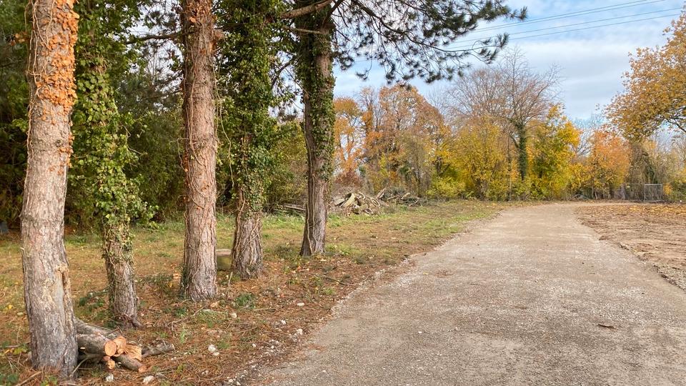 Gewerbeobjekt Bretten - 1.450&euro; | Angebot:25305480