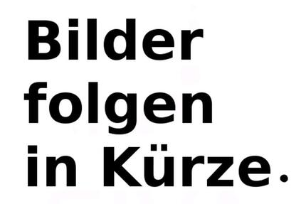 Haus Linkenheim-Hochstetten Hochstetten - 4 Zimmer, 140 m&sup2;, 2.550&euro; | Angebot:25353129
