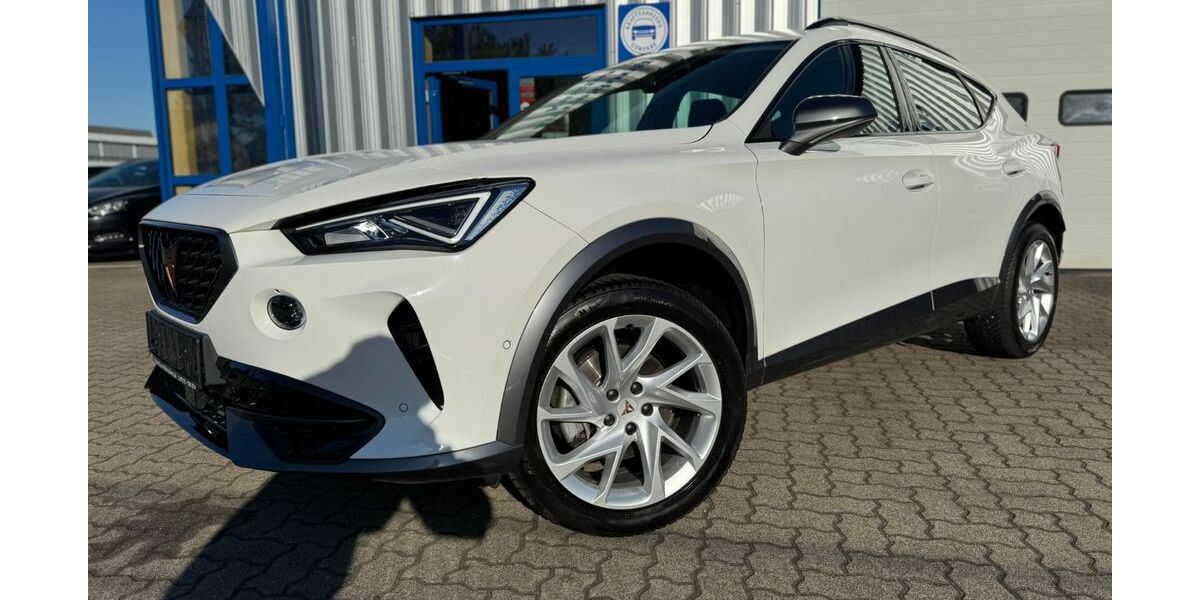 Cupra Formentor 30.600 km 24.999 &euro; Rheinzabern 76764