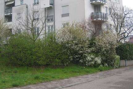 Wohnung Karlsruhe Hagsfeld - 1 Zimmer, 39 m&sup2;, 443&euro; | Angebot:25592341