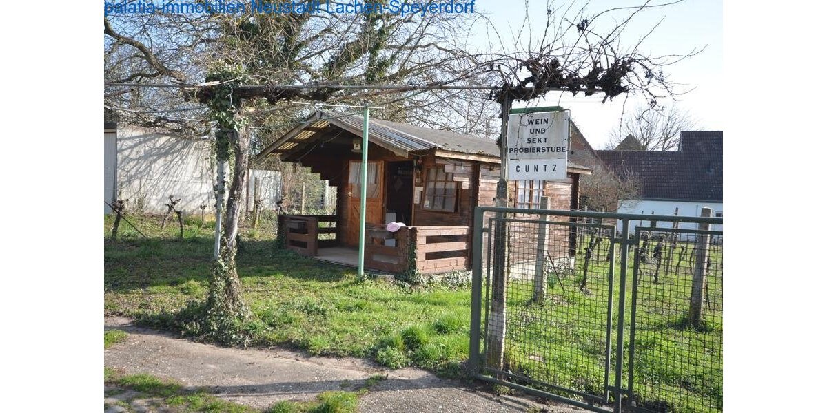 Haus mit zwei Wohneinheiten und 7000m² Grundstück Bornheim - 5.5 oder mehr Bornheim | Angebot:27196114