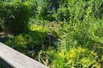 Gewerbeobjekt Bruchsal - 770&euro; | Angebot:26349219