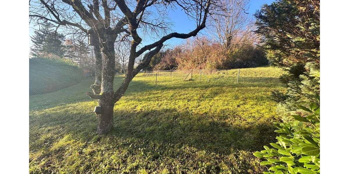 Grundstück Kämpfelbach Bilfingen - 24.000&euro; | Angebot:25728718