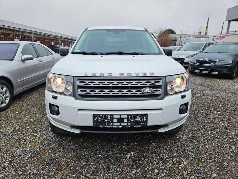 Freelander