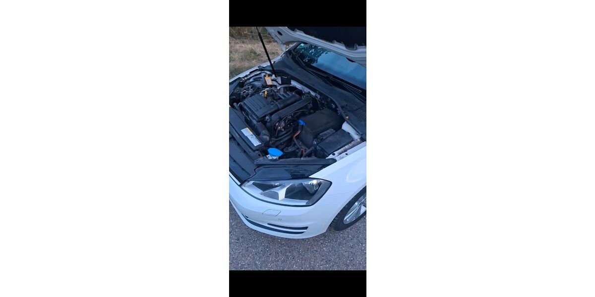 VW Golf 188.000 km 7.700 &euro; Landau 76829