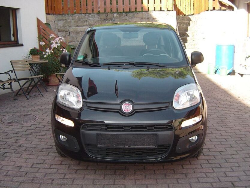 Panda
