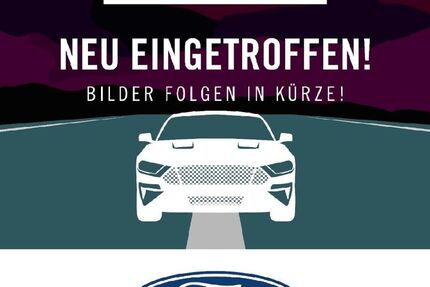 Ford Tourneo Custom 15.000 km 45.980 € Karlsruhe 76185