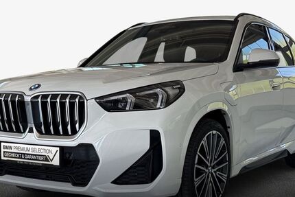 BMW X1 25.699 km 48.980 &euro; Landau 76829