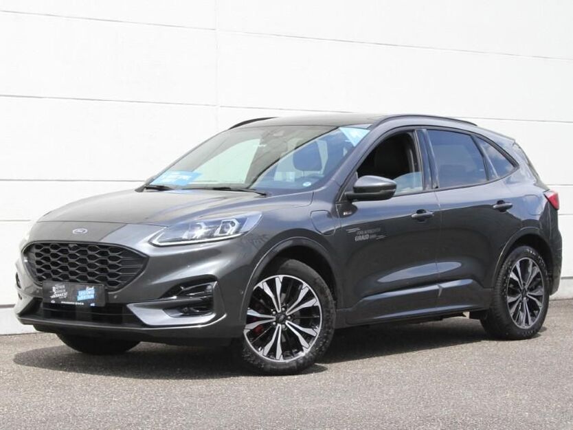 Kuga