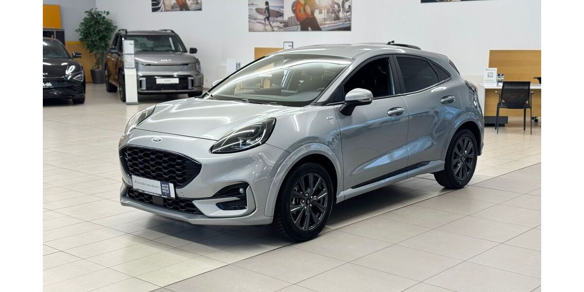 Ford Puma 14.500 km 22.990 &euro; Landau 76829