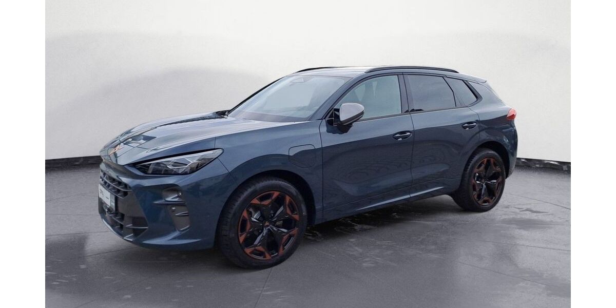 Cupra Terramar 9.703 km 41.460 &euro; Ettlingen 76275