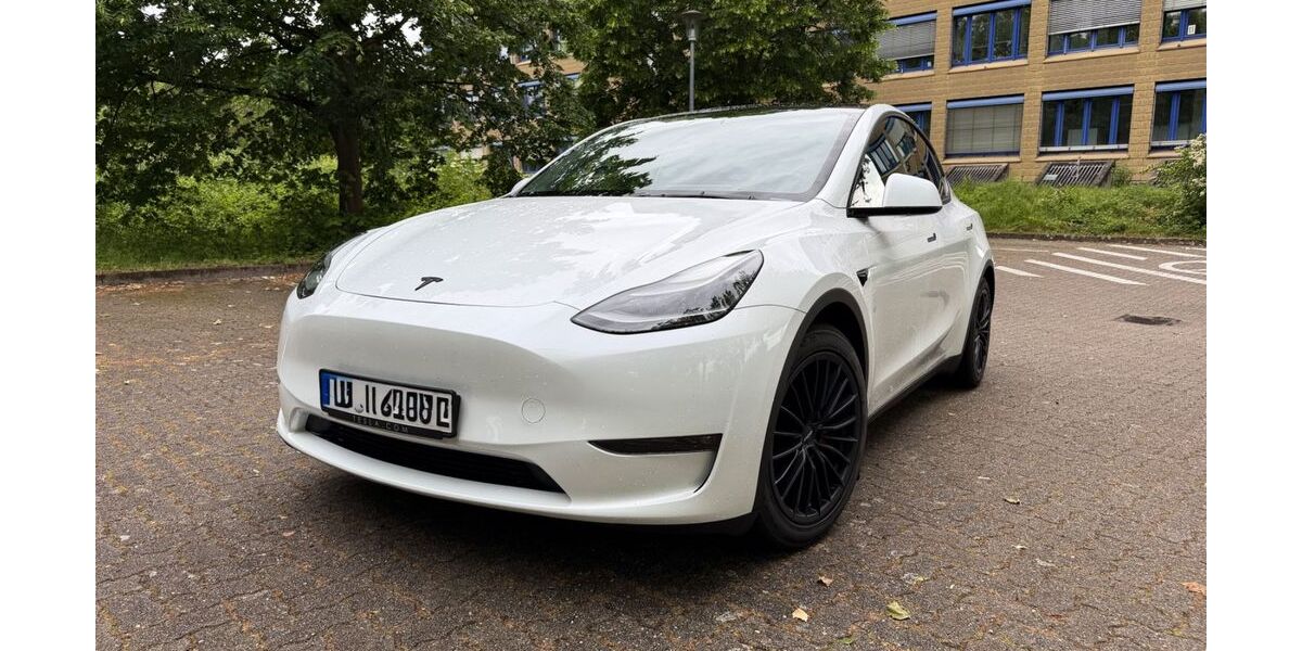 Tesla Model Y 82.000 km 33.900 &euro; Römerberg 67354