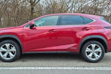 Lexus NX 300