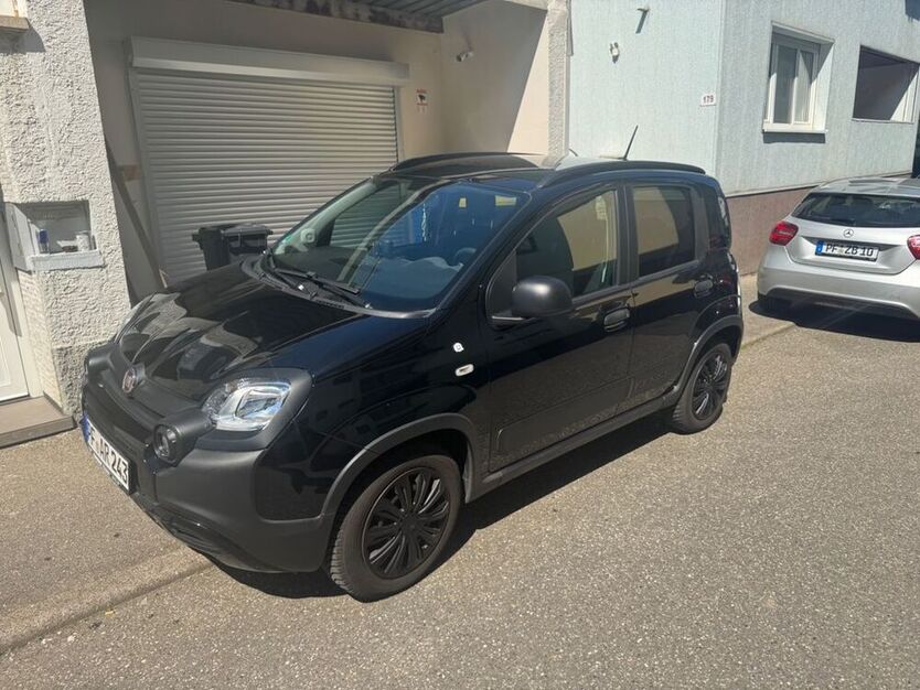 Panda