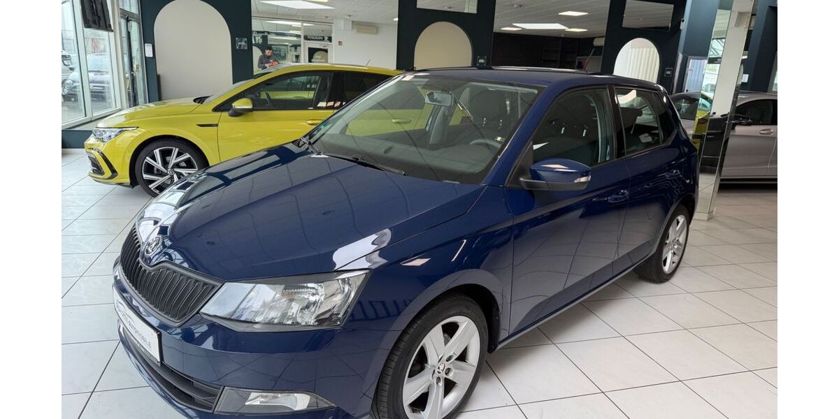 Skoda Fabia 122.600 km 7.988 &euro; Pforzheim 75179
