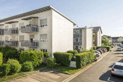 Wohnung zum Mieten in Germersheim 459 € 45.21 m² 1 zimmer