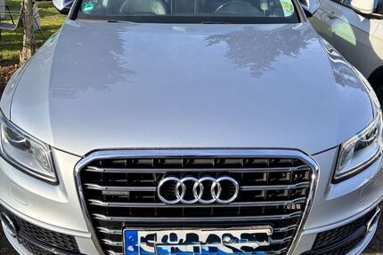 Audi Q5 178.500 km 15.990 &euro; Landau 76829