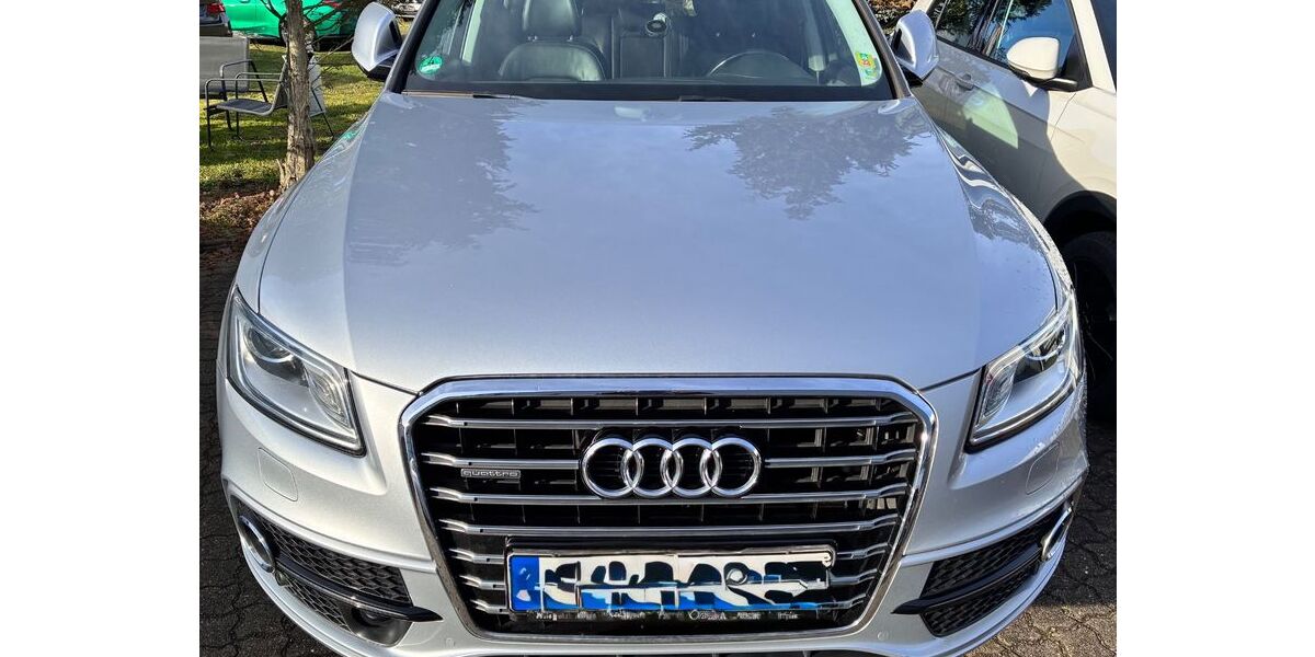 Audi Q5 178.500 km 16.500 &euro; Landau 76829