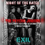 The Psycho Juniors - In Memoriam Zimbl