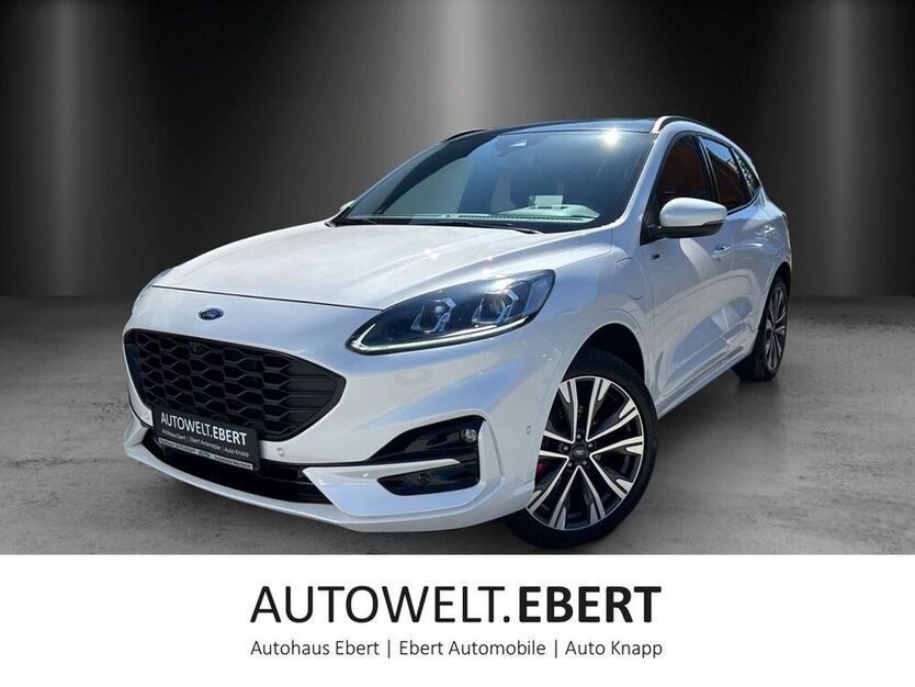 Kuga