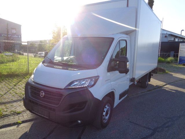 Ducato