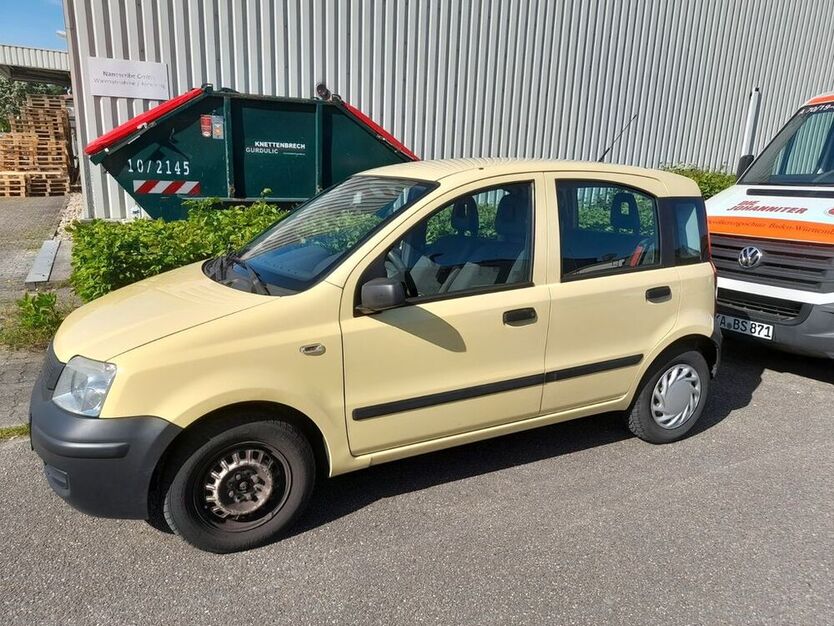 Panda