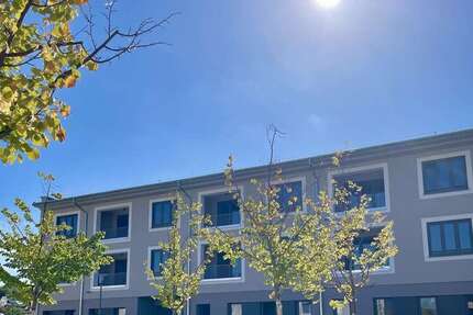 Wohnung Pfinztal Söllingen - 2 Zimmer, 77 m&sup2;, 950&euro; | Angebot:27309167