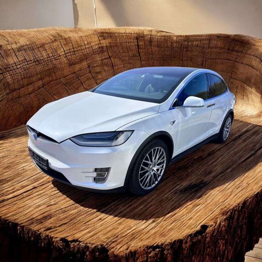 Model X