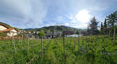 AUSSICHT & LEBENSQUALITÄT - Grundstück Bühlertal | Angebot:27655277