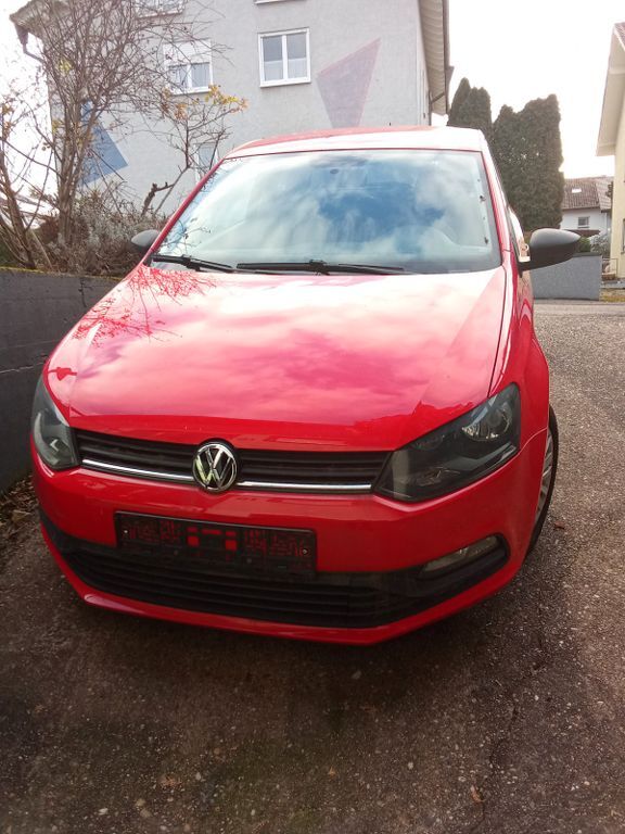 Polo