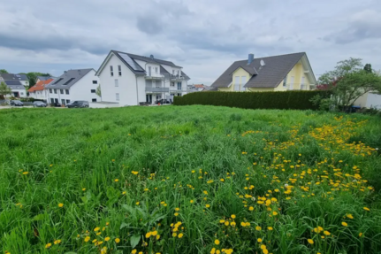 Grundstück zu verkaufen in Birkenfeld, Enzkreis 345.000 € 536 m²