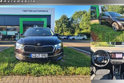 Skoda Octavia 24.000 km 40.990 € Kandel 76870