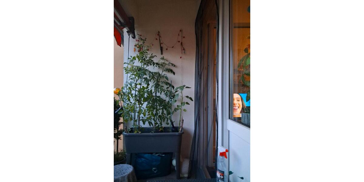 Etagenwohnung Bretten - 4 Zimmer, 88 m&sup2;, 225.000&euro; | Angebot:27158431
