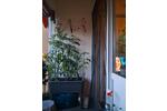 Etagenwohnung Bretten - 4 Zimmer, 88 m&sup2;, 225.000&euro; | Angebot:27158431