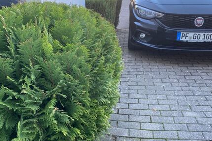 Fiat Tipo 150.000 km 6.950 &euro; Engelsbrand 75331