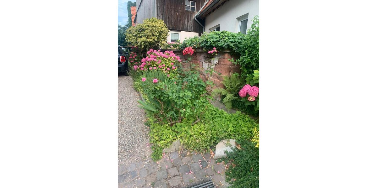 Mehrfamilienhaus, Wohnhaus Leimersheim - 8 Zimmer, 220 m&sup2;, 368.500&euro; | Angebot:26972966