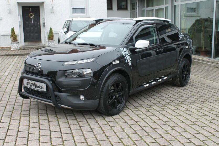 C4 Cactus
